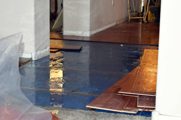 Professional Basement Flooding technician working in Weimar, TX